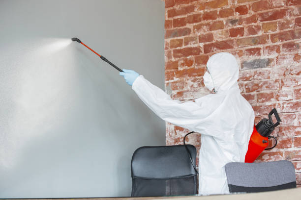 Best Forensic Mold Investigation  in Long Neck, DE