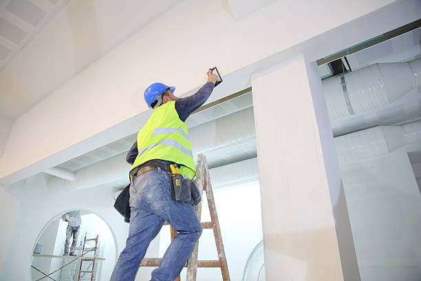 Best Mold Odor Removal Services  in Long Neck, DE