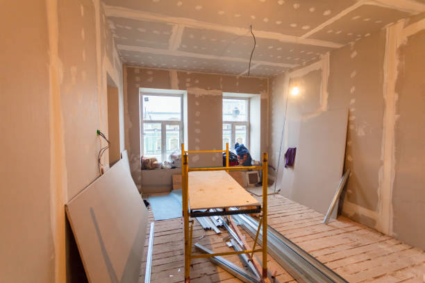 Reliable Long Neck, DE Mold Removal Solutions